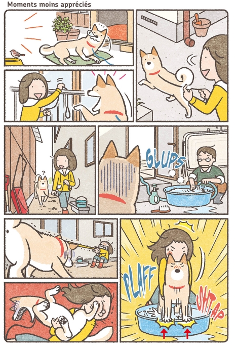 mon shiba ce drole de chien_doki doki_scan