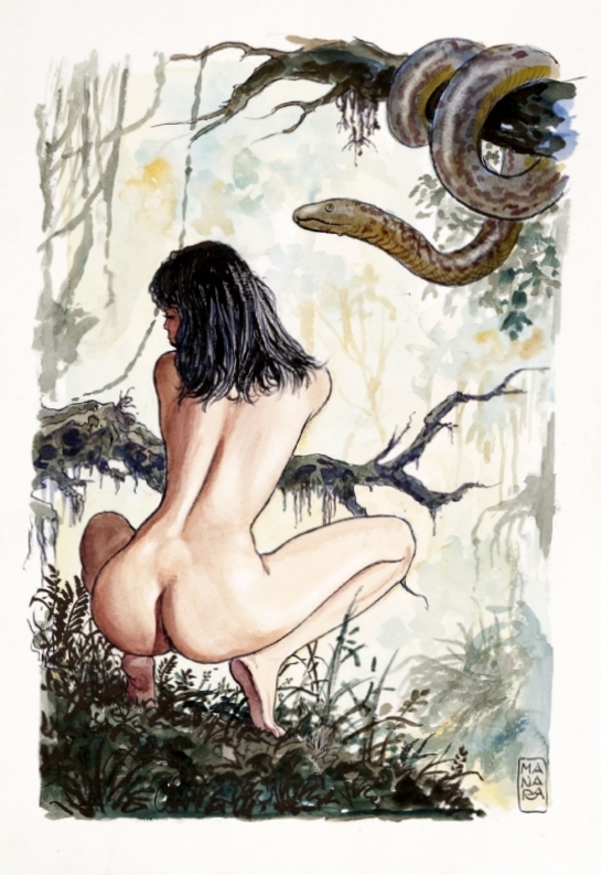milo manara 26