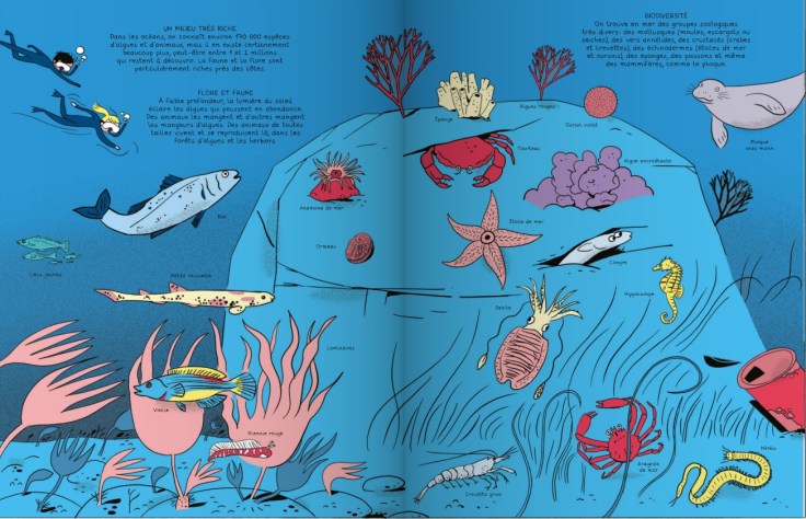 Casterman_les sciences en BD_les oceans_scan