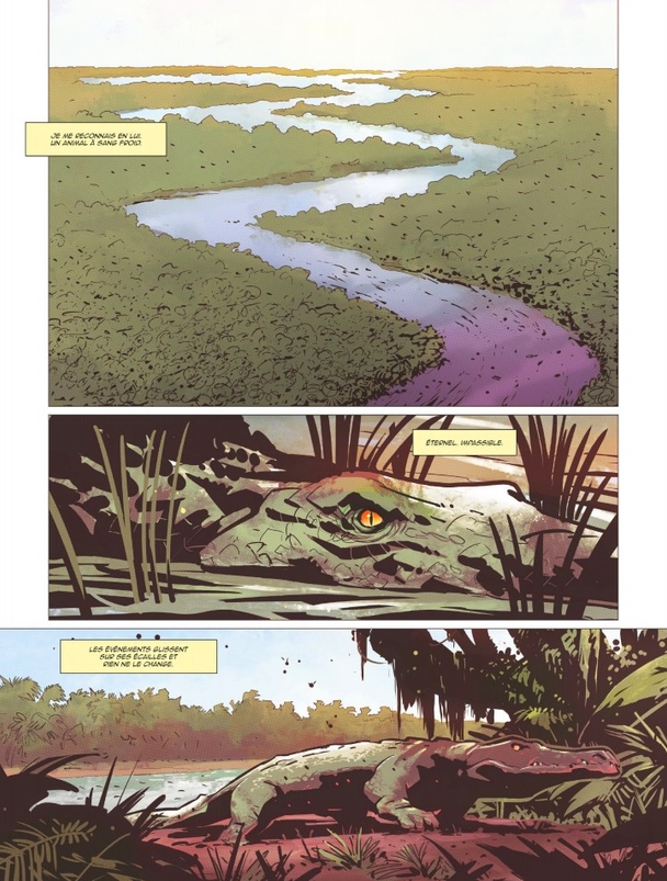 Far Cry_Les larmes d-Esperanza_Mathieu Mariolle_Afif Khaled_Saladhin Basti_Glénat_extrait