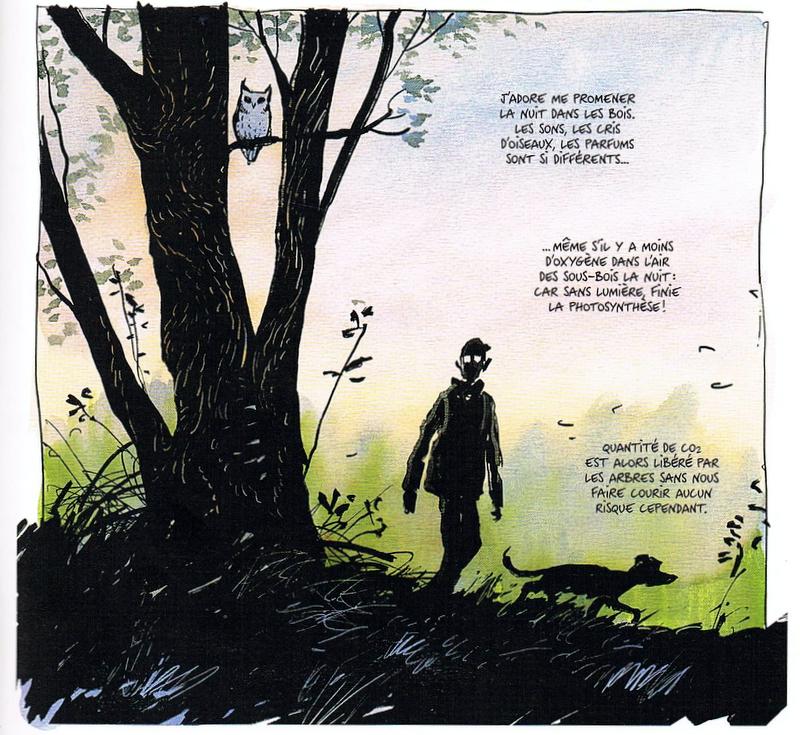 la vie secrète des arbres - les arènes