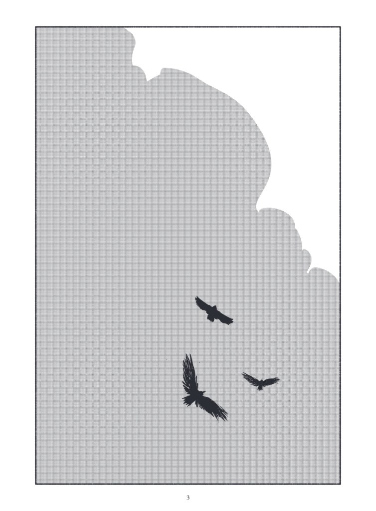 Silhouette de trois oiseaux volant sur un fond gris en grille.